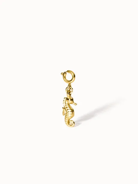 Flex Seepferdchen Charm