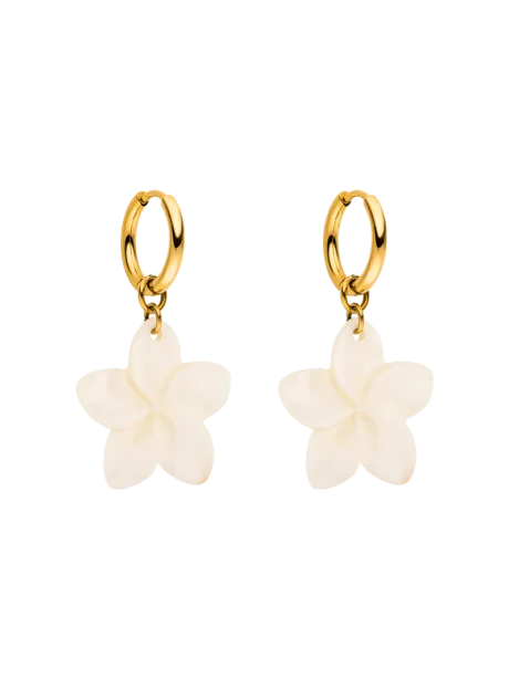Shiny Plumeria Creole