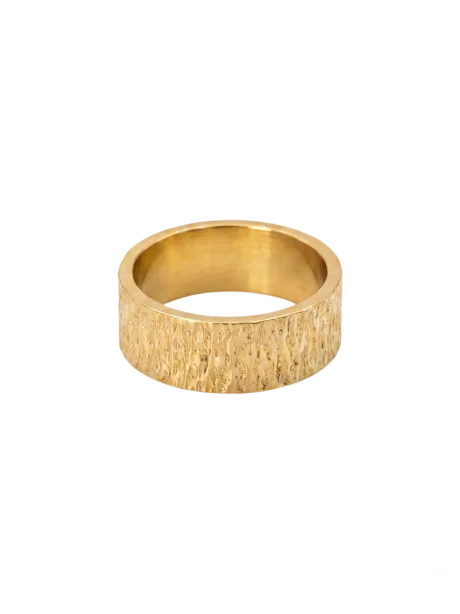Tidemark Ring