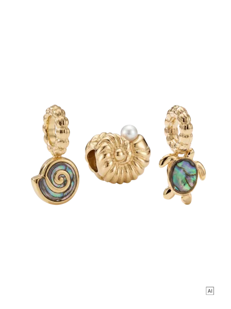 Abalone Charm Set