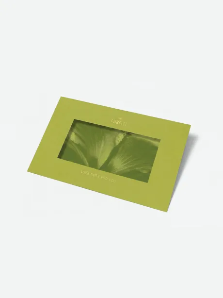 Gutschein in Geschenkumschlag