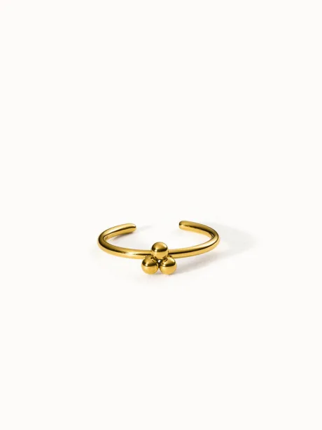 Seed Ring